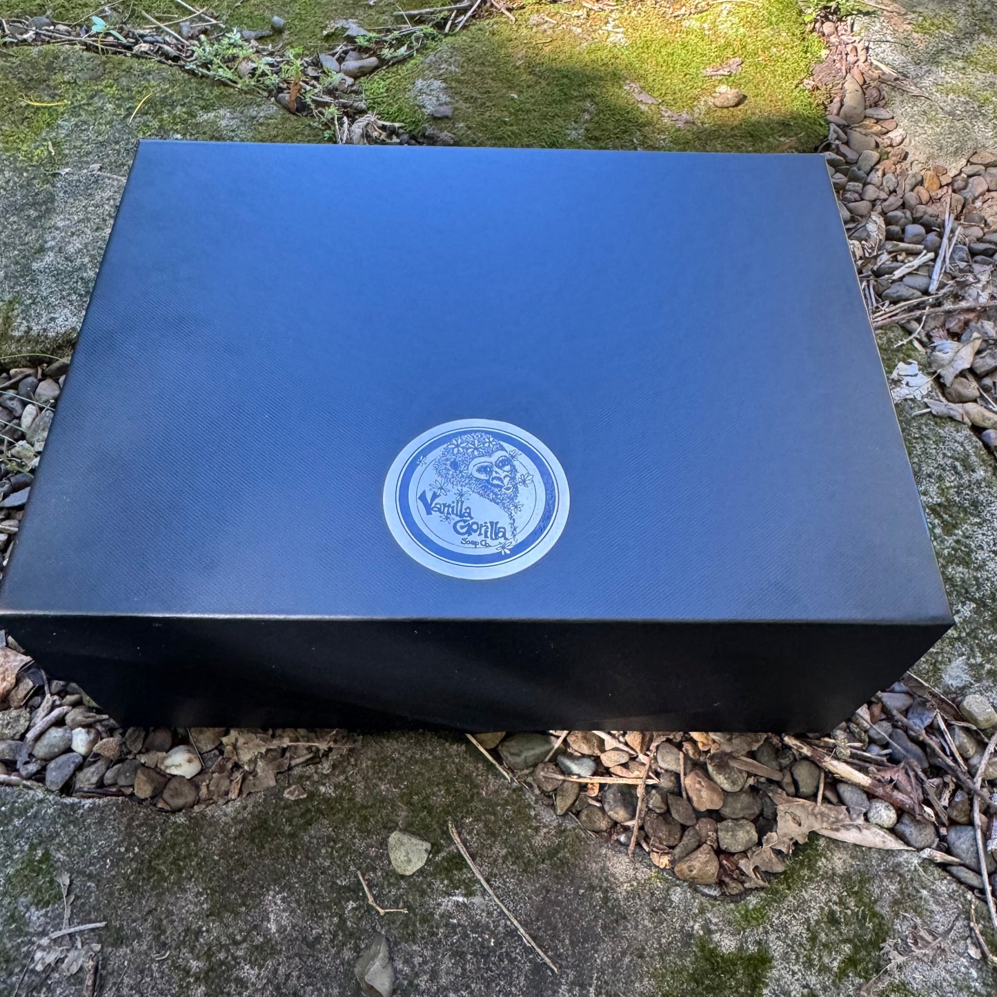 Gift Wrap ~ Gift Box