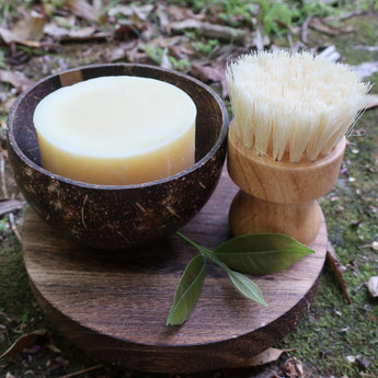 Bar of dish soap in a wooden container with a brush on a natural background