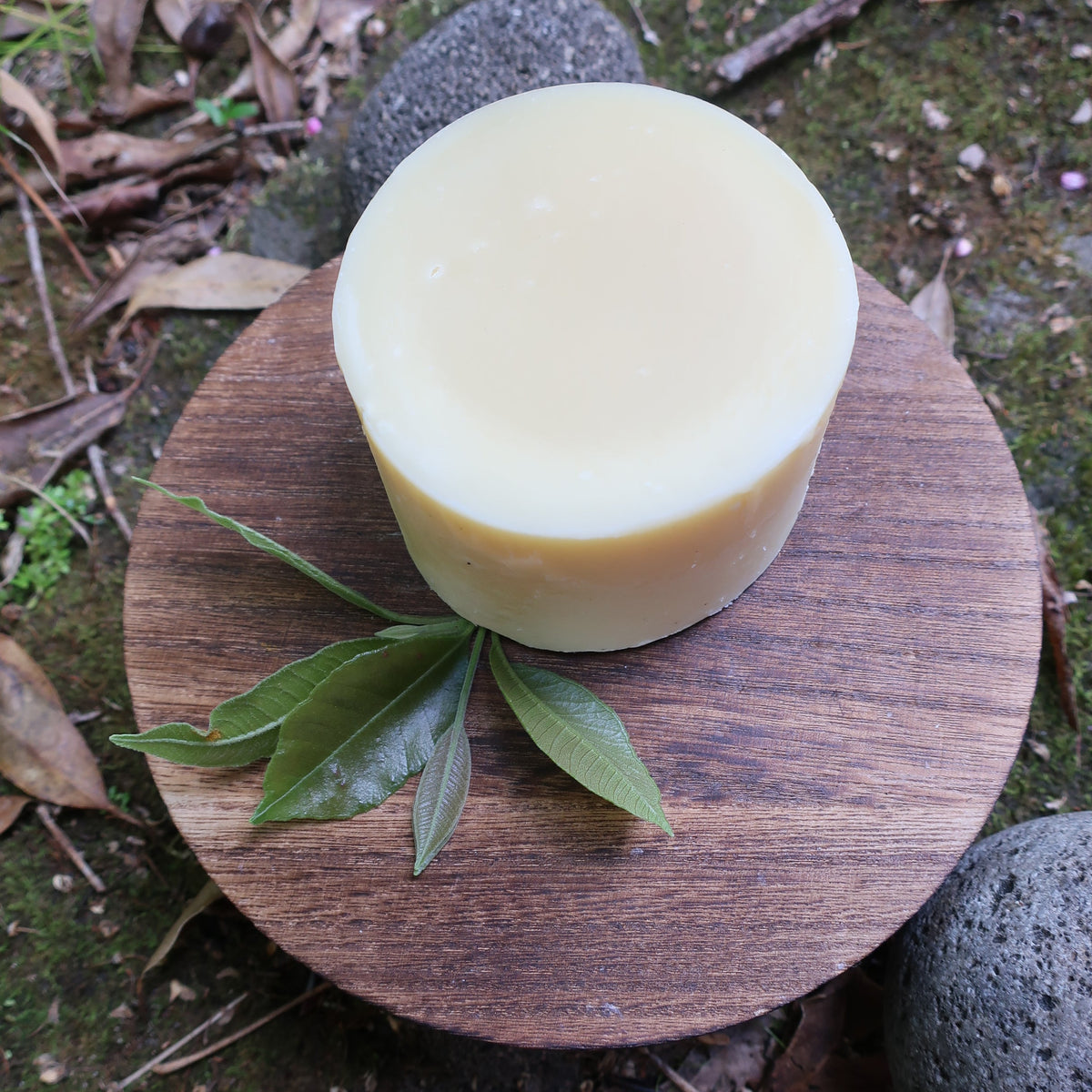 Puck of dish soap on a wooden block with leaves, placed outdoors on a natural surface.
