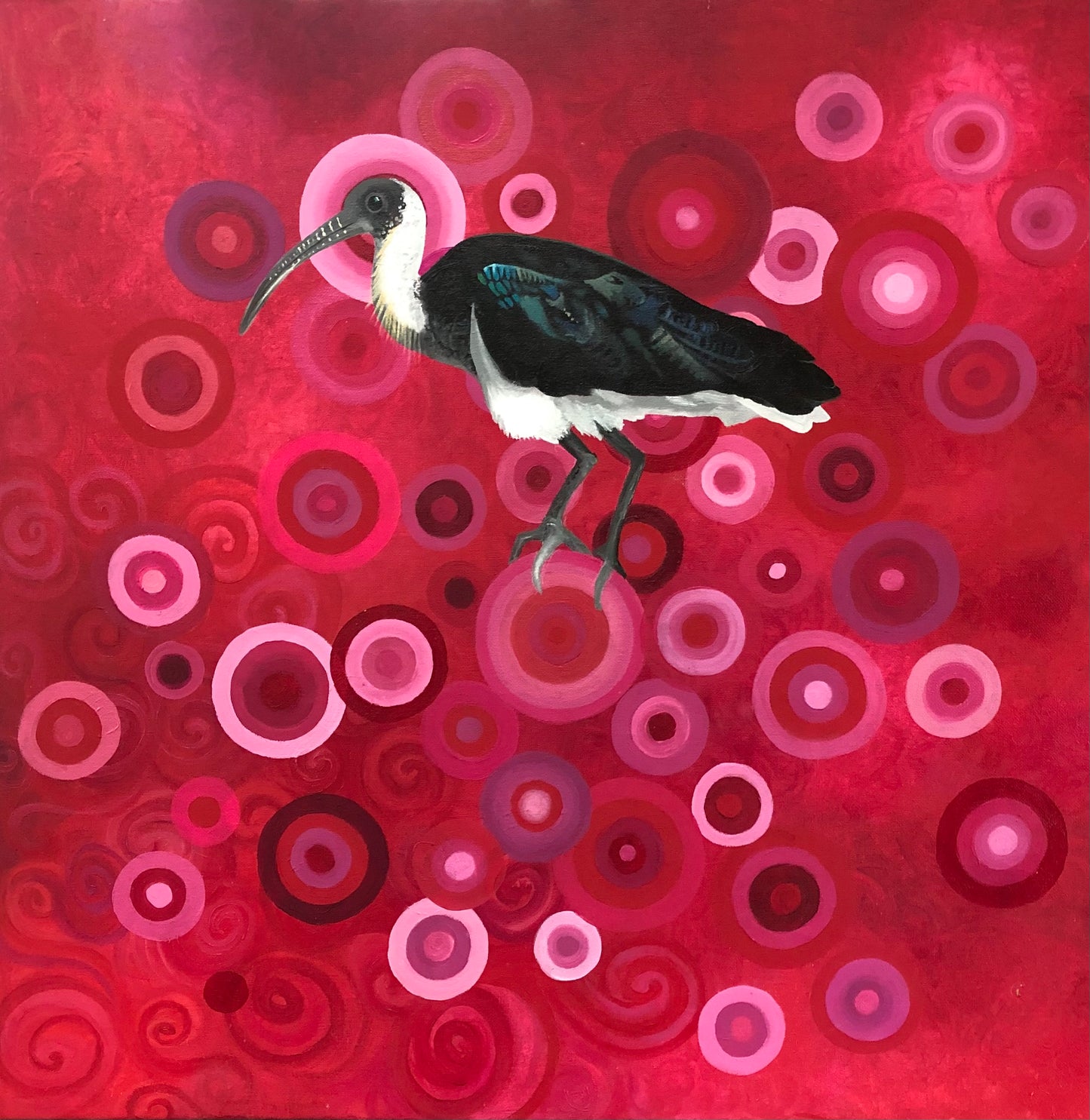 Bird on a red and pink circular patterned background